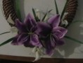 /album/vence/imga0862-jpg/
