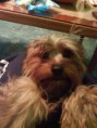 /album/jacky/dsc00649-jpg/