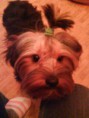 /album/jacky/dsc00653-jpg/
