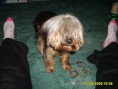 /album/jacky/s5000203-jpg/