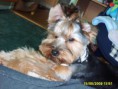 /album/jacky/s5000229-jpg/